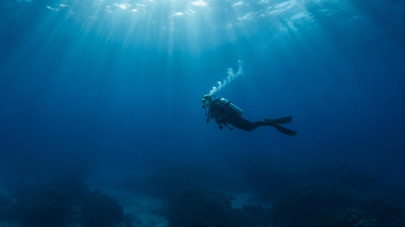 A scuba diver exploring the open ocean